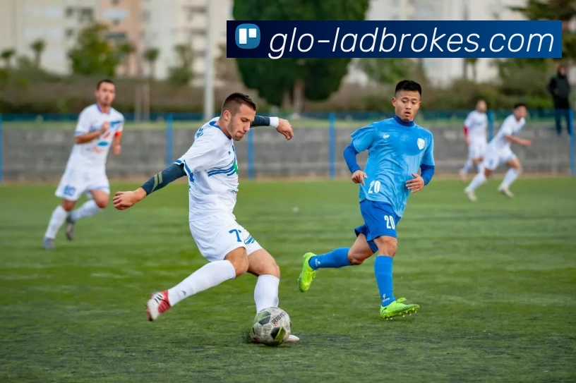 多媒体互动体验